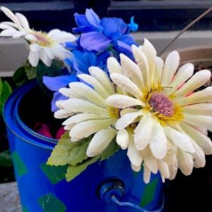 Meet your Posher, Fabiana